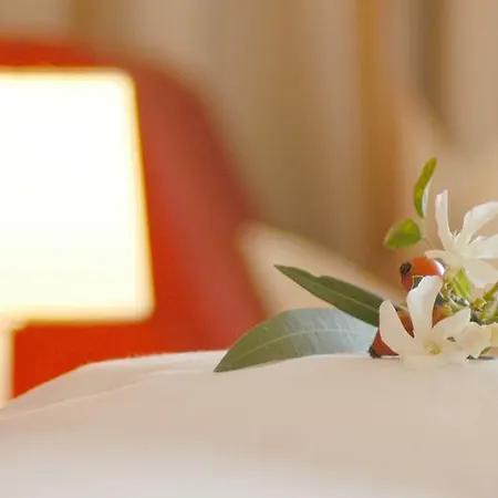 Haselgrund Bed & Breakfast Tirolo Room photo